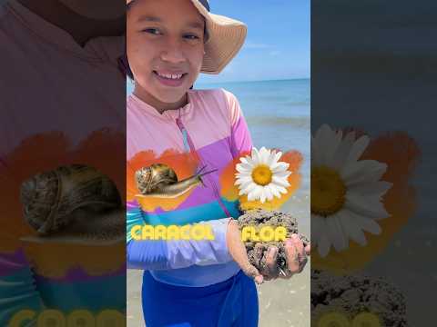 Adivina que hay en la arena #adivinanza #adivina #flores #caracoles #playa #arena #viralshort #short