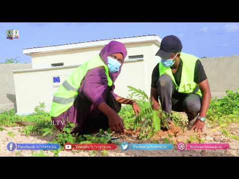 Golaha dhalinyarada degmada kismayo ayaa Maalikii 4-aad wado diyar garowga todobadka xuriyada