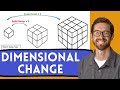 Understanding Dimensional Change