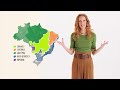 Cerrado: Biodiversidade e Sustentabilidade