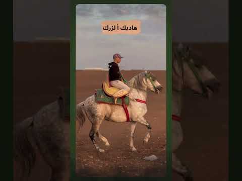 هاديك أ لزرك هاديك