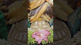 Om Namo Venkateshaya || పలమనేరు శ్రీ భూనీళా కళ్యాణ వెంకటరమణ స్వామి #shorts