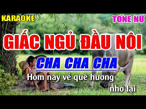 Karaoke Giấc Ngủ Đầu Nôi Tone Nữ – Cha cha cha – Beat Nhạc Sống 2022 – Lâm Organ