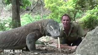 3 Day Survival on Snake Komodo Island! #snakeisland #survival #monsterhunter #wildlife