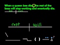 Understanding Sentence Structure Concepts