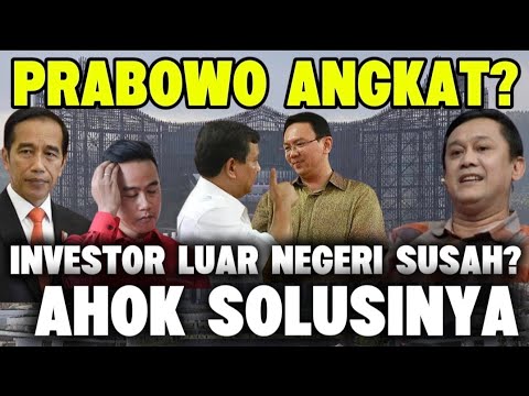 IKN SUSAH INVESTOR? AHOK LAH SOLUSINYA - DENNY SIREGAR KUPAS HABISS