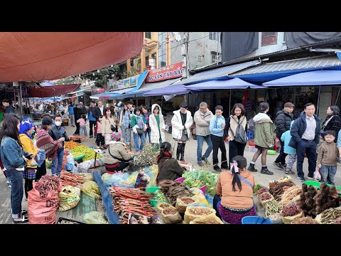 KHAI XUÂN CHỢ PHIÊN BẮC HÀ ĐẦU NĂM - VỠ TRẬN - RAU CỦ QUẢ & DƯỢC LIỆU KHÔNG ĐỦ BÁN CHO KHÁCH DU LỊCH