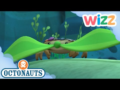 @Octonauts - The Decorator Crab | Full Episode | Cartoons for Kids | @Wizz  ​