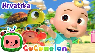 Naučite morske životinje! 🦀 | CoComelon Hrvatska | Crtaći filmovi i dječje pjesme na hrvatskom