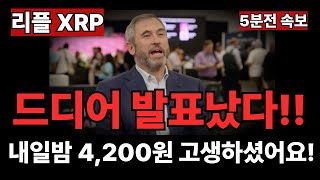 리플 내일밤 4500원!! 결국 터진5분전 속보!!!#엑스알피 #리플코인 #엑스알피전망