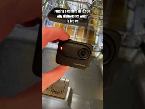Investigating the dishwasher cycle with the @insta360 GO 3 action camera #GO3 #insta360partner