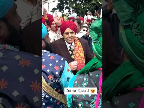 Dharmendra Ji is the cutest Baarati at grandson Karan Deol's wedding๐คฉ๐๐ป #shorts