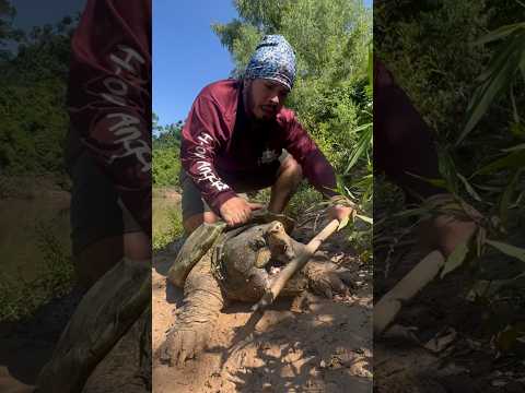 Spot the GIANT TURTLE⁉️😱 #fishing #pesca #alligatorsnappingturtle