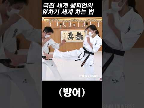 극진 세계챔피언의  앞차기 세게 차는 법