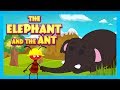 Tofu, Ken, and the Elephant's Lesson