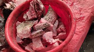 Expensive River Big Vetki Fish Cutting By Expert Cutter l Amazing Cutting Skills