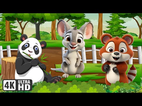 Compilation of Adorable Animal Sounds: Panda, Red Panda, Wallaby, Monkey  - Animal Videos