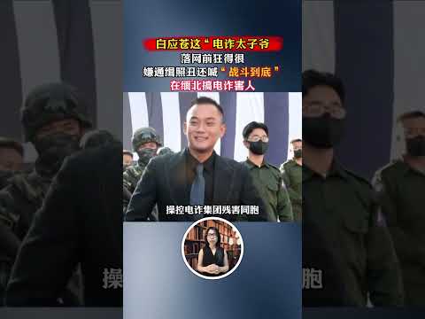 白應蒼,被活捉的時候多囂張?曾叫囂通緝照拍得醜 #近代史 #人物故事