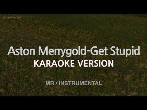 Aston Merrygold-Get Stupid (MR/Instrumental) (Karaoke Version)