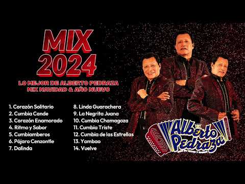 Navidad y Año Nuevo a ritmo de Alberto Pedraza (Mix 2024)