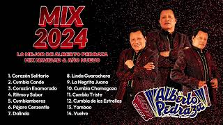 Navidad y Año Nuevo a ritmo de Alberto Pedraza (Mix 2024)
