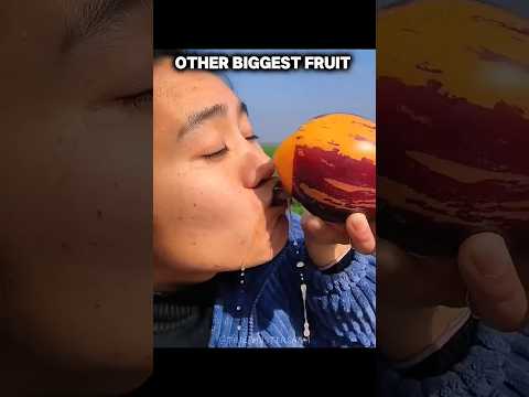 Other Biggest Fruit VS This One Fruit 🍌| Part - 3