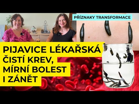 🌺 Pijavice čistí krev, mírní bolest i zánět MARTINA KALDOVÁ Příznaky transformace | osobní rozvoj