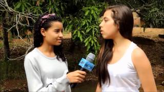2ª Amostra Cinematográfica de Combate à Dengue - 2013