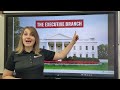U.S. Government Structure and Roles