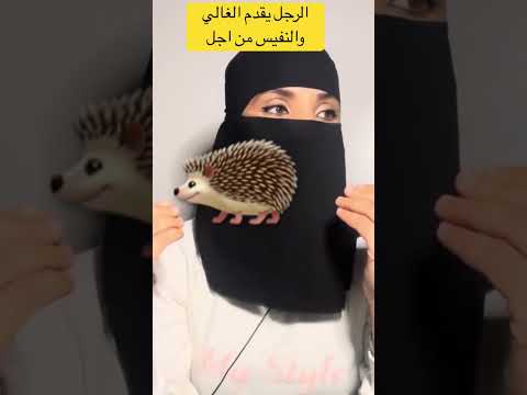 قولو ليا من اجل مذا تقدمون هادشي
