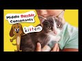 Double Consonants and Pronunciation