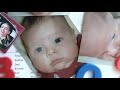 The Incredible Journey of Life