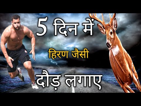 हिरण जैसी तेज दौड़ कैसे लगाए | Increase Running Speed And Stamina Running Karne Ka sahi tarika