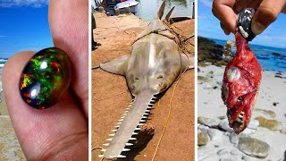 Unwind with Amazing Fishing Videos: Catching Seafood, Fish, Crab, Octopus | ASMR Relaxing #21