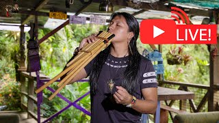 Andean Live Music from  Beautiful and Relax View