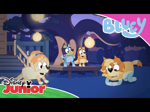 Playtime with the Heelers 🐶 | Bluey 💙 | Disney Junior Arabia