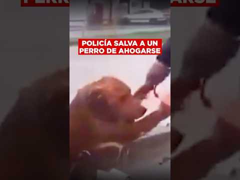 Cámara Oculta: Policías de Tijuana fueron grabados