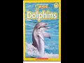 Exploring Dolphins: Key Features and Facts