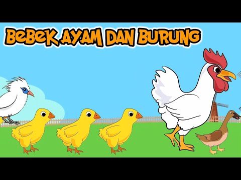 Topi Saya Bundar | Bebek Burung Dan Ayam | Lagu Anak Anak