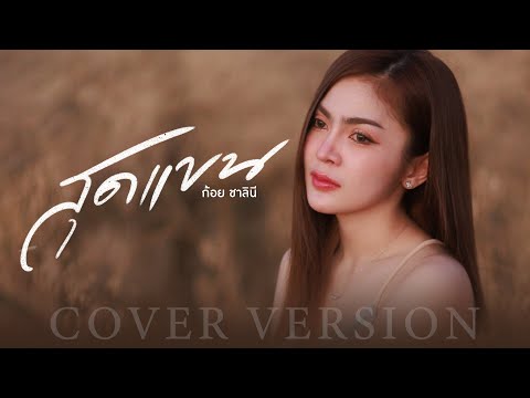 สุดแขน - ก้อย ชาลินี【COVER VERSION】