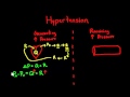 Understanding Hypertension and Its Effects