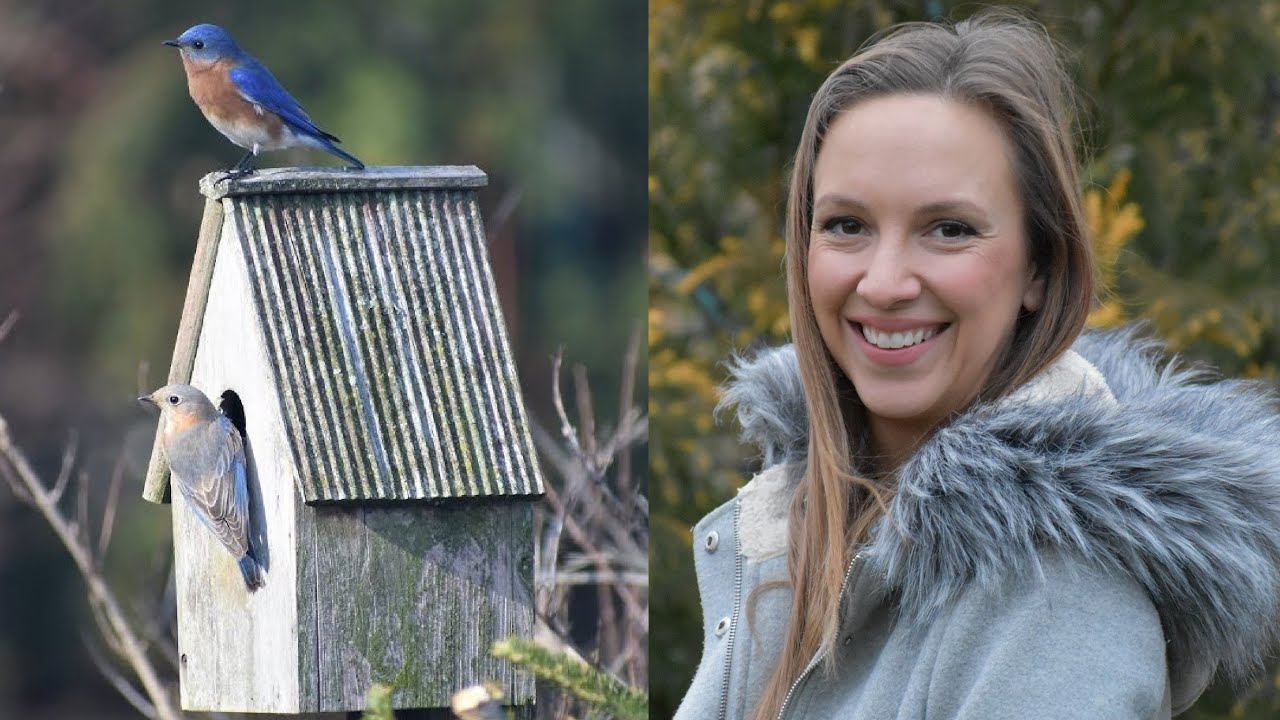 5 Tips to Attract More Birds to Your Garden