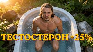 Как поднять уровень тестостерона натуральными способами