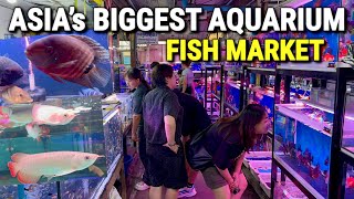 Inside BANGKOK’s Chatuchak Aquarium Market in Thailand! 🇹🇭 The LARGEST AQUARIUM Fish Market in ASIA!