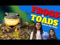 Frog Biology and Behavior