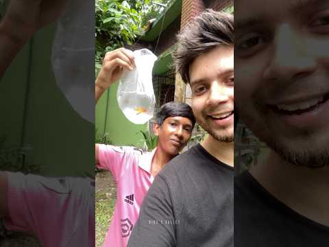 আমার ক্ষুদে ভক্তের কাছ থেকে উপহার পেলাম পদ্ম ফুলের চারা 😍🪷#birdsvalley #lotus