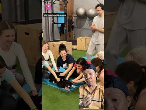 Tập Cùng bé lu Cả nhà ơi🐕#shorts #funny #shortvideo #videoshort ￼