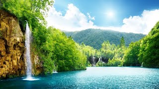 Relaxing Music For Stress Relief, Anxiety and Depressive  Relexing Sound HD Live