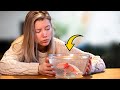 Caring for Axolotls in Aquariums