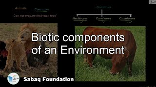 Biotic components of an Environment